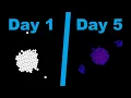 Can I Make a Newtonian Gravity Simulation in 5 Days