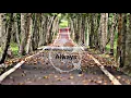 Download Lagu #Daniel #Isak Always
