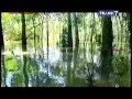 Download Lagu Jejak Jejak Misterius Trans 7 - 6 April 2015 - Bayi Berambut Panjang Penunggu Sungai Way Kiri Full