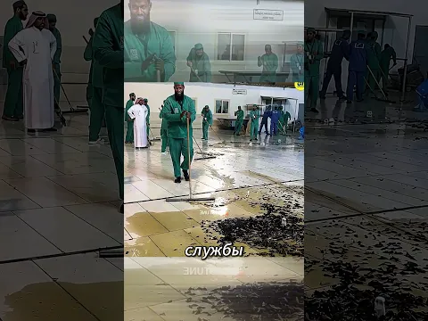 На Мекку напали жучки
