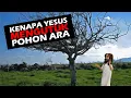 Download Lagu KENAPA YESUS MENGUTUK POHON ARA YANG TIDAK BERBUAH KETIKA BUKAN MUSIM BUAH ARA