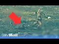 Russian soldiers abandon wounded comrade and rob him before being hit in Ukraine