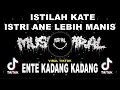 Download Lagu MUSIK VIRAL TIKTOK 2022 | ISTILAH KATE