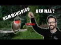 When To Put Up Hummingbird Feeders