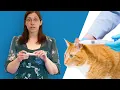 Using a Micropen to apply transdermal medications