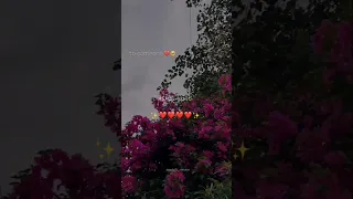 تاه قلبي لما لقاه تصميمي Foryou حالات واتس بتاعedit 