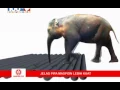 Download Lagu Iklan Maspion PVC