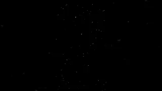 خدت فردي وكلبي الولف حالات واتس 