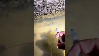 ابتكار جديد لصيد الاسماك 