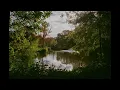 Bonobo Mix (fan made mix) | Bonobo Discography | Best of Bonobo | Bonobo Playlist | Bonobo best song