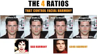 The 4 Ratios That Matter Most