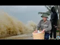 Download Lagu The storm is coming, Adam Lieu can escape the storm of nature?
