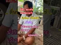 Download Lagu #คนทุ่งฝน #shortsfeed