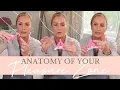 The Secrets of The Clitoris and How to Make it Work For You Empowering Midlife Wellness