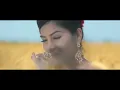 Phulkari | Desi Robinhood | Kaur B | Full Music Video 2015