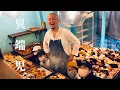 Download Lagu Quit Best-Sellers – A Rebel Baker’s Twist on Tradition【Pane Ho Maretta】|Japanese Bakery