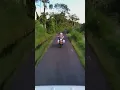 Download Lagu Seorang Anggota Polisi menabrak anjing liar Hinga terjatuh