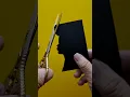 Ignite Your Creativity Transform Hair into Stunning Art with Face Expressions