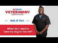 When To Go To The Dog Vet PetSmart Veterinary Services