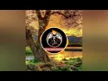 Download Lagu Lagu joget India terbaru🌴remix @alex lms official√di 2023 by SLP PRO🌴