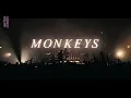 Arctic Monkeys Knee Socks // Les Nuits de Fourvière