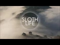 Mt. Wolf - Life Size Ghosts (Catching Flies Remix)