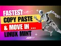 Transfer Files Faster in Linux Mint with Nemo s Extra Pane