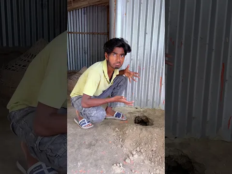 অদ্ভুত গর্ত | 🕳️😱 | #minivlog #vlog