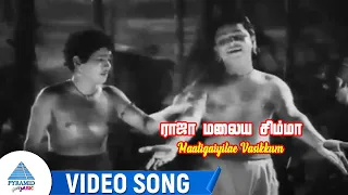 maaligaiyilae vasikkum video song raja malaya simha movie songs ranjan rajasulochana