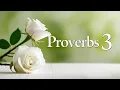 Bible Reading Proverbs 3 1 hour Loop Meditation