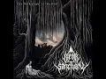 Cold Winds - Bleak Sanctuary