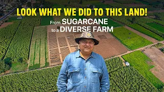 Transforming 4.5 acres into a diverse farm | A 3 - year journey