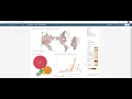 Exploratory Data Analysis - Terrorism Tableau