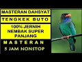 Download Lagu Suara Burung TENGKEK BUTO Gacor Durasi Panjang | Masteran Burung Sang Juara ......