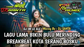 dj breakbeat full bass 2025 dj im lo ale lagu nya bikin merinding full haluu 