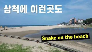 삼척에 이런 곳도... 맹방 외나무다리 그리고 초곡용골촛대바위길 썸네일