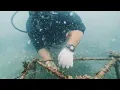 Download Lagu Coral Reef Building Project - Nirwana Gardens Bintan