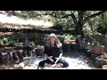 Download Lagu Gentle Kripalu, Yin Yoga \u0026 Meditation Class - Summer Harmony