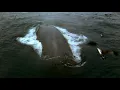 Blue Planet