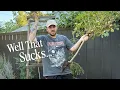Download Lagu Chatting Through Garden Chores ☕🌱 || Visit Our Garden