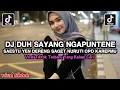 Download Lagu DJ DUH SAYANG NGAPUNTENE SAESTU YEN DERENG SAGET NURUTI OPO KAREPMU VIRAL TIKTOK
