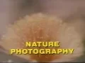 Download Lagu Kodak Video Programs - Nature Photography [1985]
