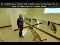 Country Kennel Greensboro NC Kennels