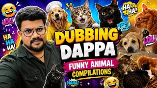 Funny Animals Dubbing Compilations #funny #cat #dog #elephant #funnyanimals #dubbingdappa #pets 