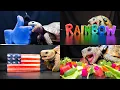 ASMR Mukbang Eating Food Turtle Tortoise