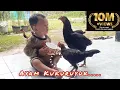 Download Lagu KEENJOY VS AYAM | LAGU AYAM KUKURUYUUK 🎶 Nursery Rhymes and Kids Song Bahasa Indonesia