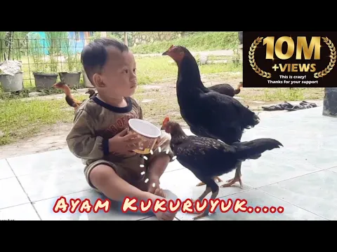 Download MP3 KEENJOY VS AYAM | LAGU AYAM KUKURUYUUK 🎶 Nursery Rhymes and Kids Song Bahasa Indonesia