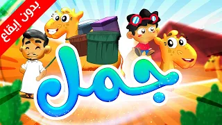 جمل  بدون ايقاع    طيور بيبي            دندنها