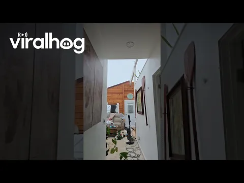 Family Evacuates as Hurricane Lala Blows Off Entire Roof || ViralHog