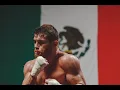 Canelo Alvarez Highlights - No me rajo
